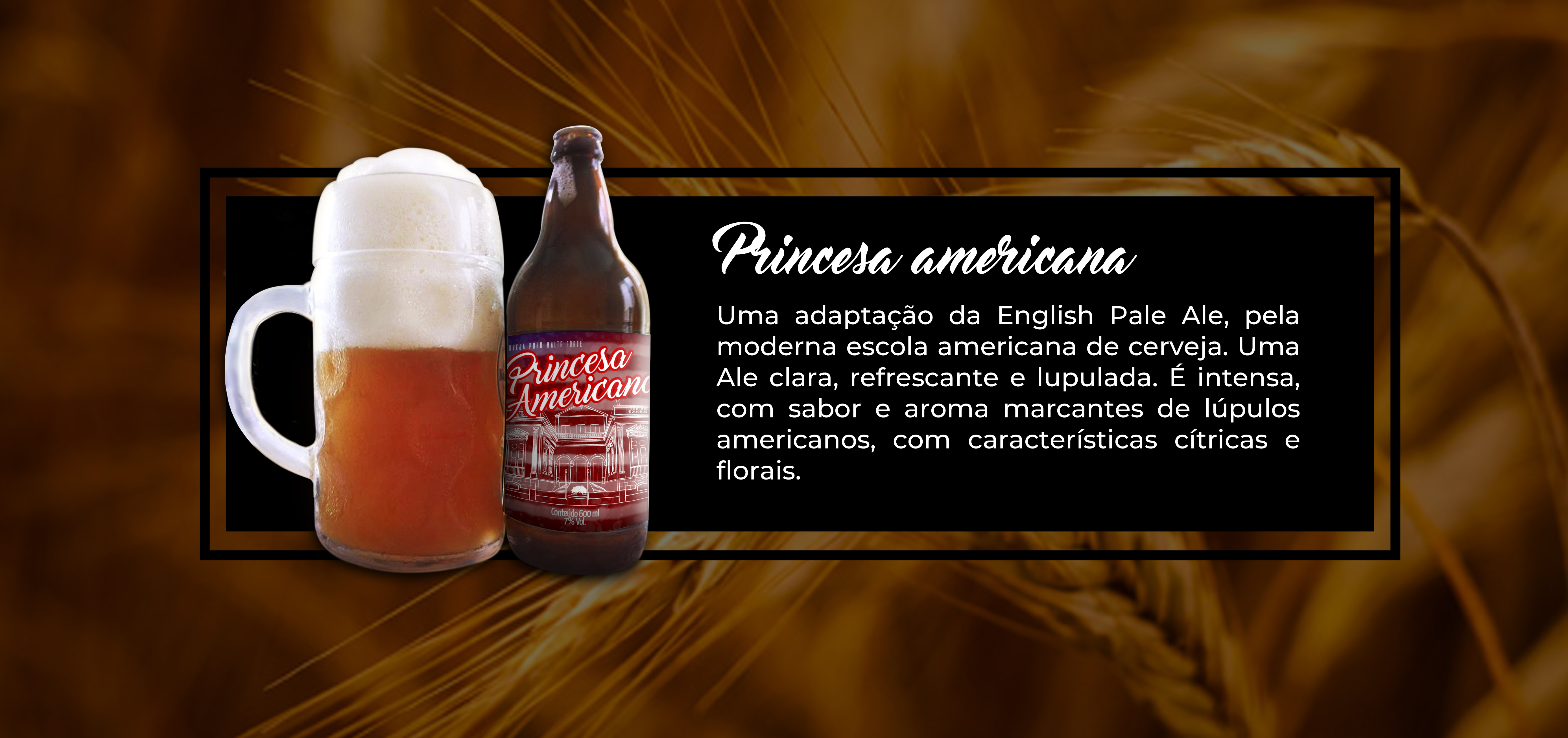 Princesa Americana